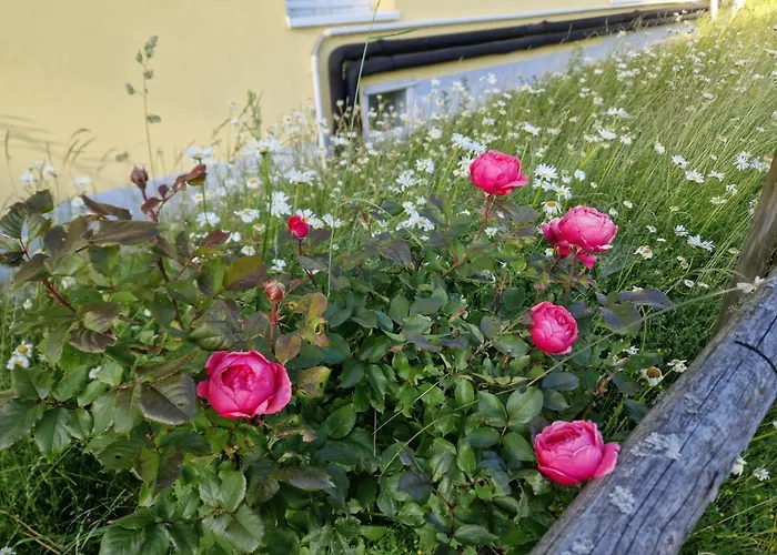 Paeitara Hof