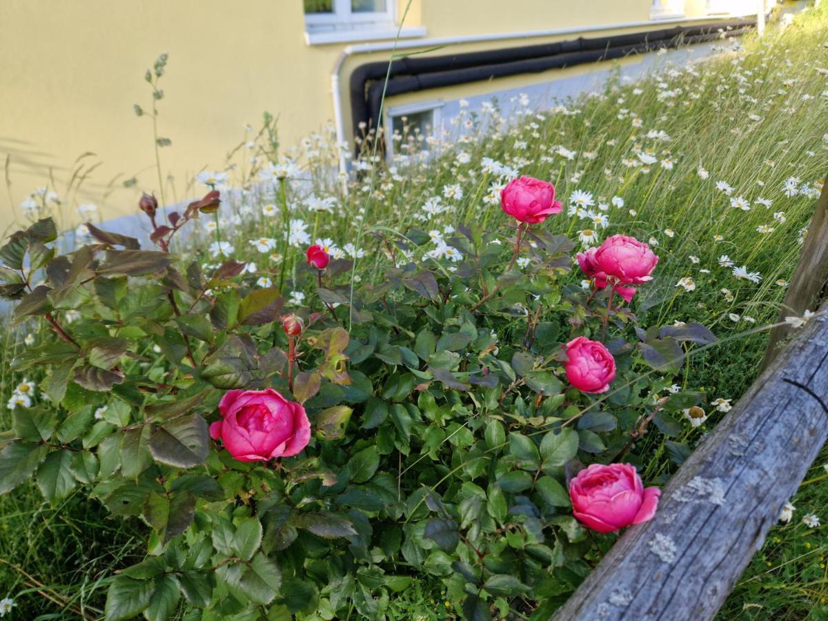 Paeitara Hof Holiday home